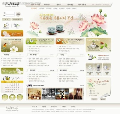 韩国ASA俱乐部网站PSD模版 打造动感活力的专业网页与网站设计