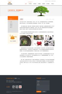 匠心烹饪，厨企风范 如何打造一站超越期待的厨具企业官网